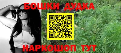 индика Ливны