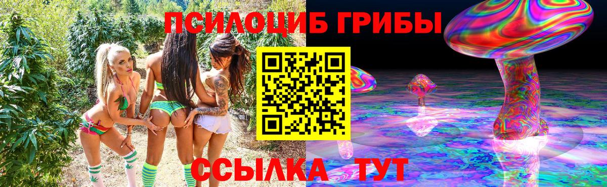 Псилоцибиновые грибы Psilocybine cubensis Новокузнецк