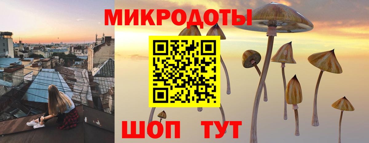 Новокузнецк  Галлюциногенные грибы Cubensis  Вход с VPN 